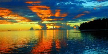 Vietnam business visa for The Federated States of Micronesia citizens