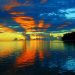 Vietnam business visa for The Federated States of Micronesia citizens