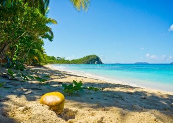 Vietnam business visa for The United States Virgin Islands citizens