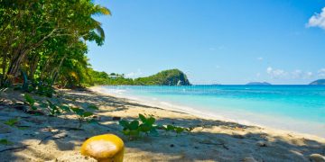 Vietnam business visa for The United States Virgin Islands citizens