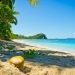 Vietnam business visa for The United States Virgin Islands citizens