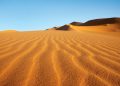 Vietnam business visa for Western Sahara citizens
