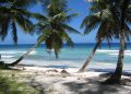 Vietnam business visa for British Indian Ocean Territory citizens