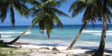 Vietnam business visa for British Indian Ocean Territory citizens