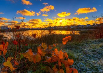 Vietnam business visa for Saint Pierre and Miquelon citizens