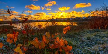 Vietnam business visa for Saint Pierre and Miquelon citizens