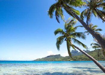 Vietnam tourist visa for French Polynesia