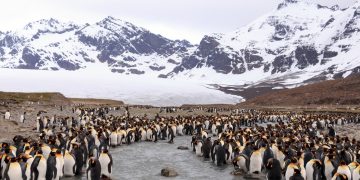 Vietnam tourist visa for South Georgia and the South Sandwich islands citizens