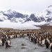 Vietnam tourist visa for South Georgia and the South Sandwich islands citizens