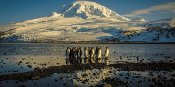 Vietnam tourist visa for The Falkland Islands citizens