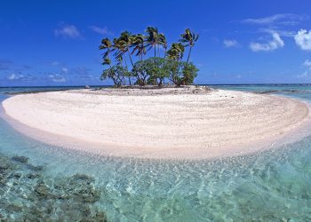 Vietnam tourist visa for The Federated States of Micronesia citizens