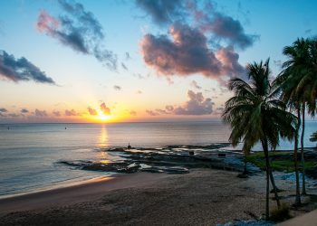 Vietnam visa on arrival for French Guiana