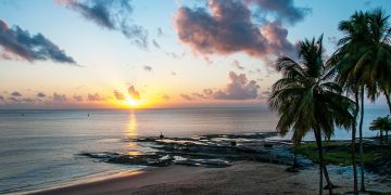 Vietnam visa on arrival for French Guiana