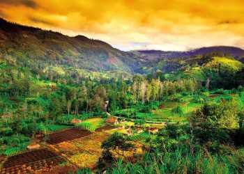 Vietnam visa on arrival for Papua New Guinea citizens