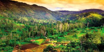 Vietnam visa on arrival for Papua New Guinea citizens