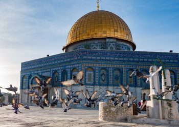 Vietnam visa requirements for Palestinian Territories citizens