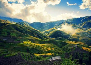 How to get Vietnam visa for Austrian