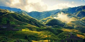 How to get Vietnam visa for Austrian