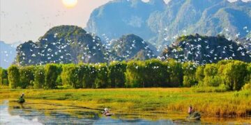 Bac Lieu Bird Park – A diverse nature reserve