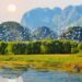Bac Lieu Bird Park – A diverse nature reserve