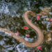 Dong Tam snake farm