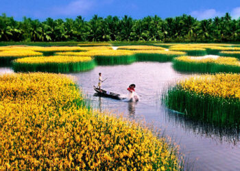 Cai Rang Floating Market: Cultural beauty of Can Tho river region