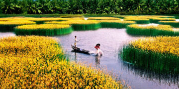 Cai Rang Floating Market: Cultural beauty of Can Tho river region