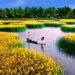 Cai Rang Floating Market: Cultural beauty of Can Tho river region