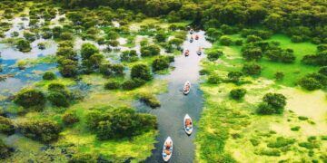 Tra Su Melaleuca Forest